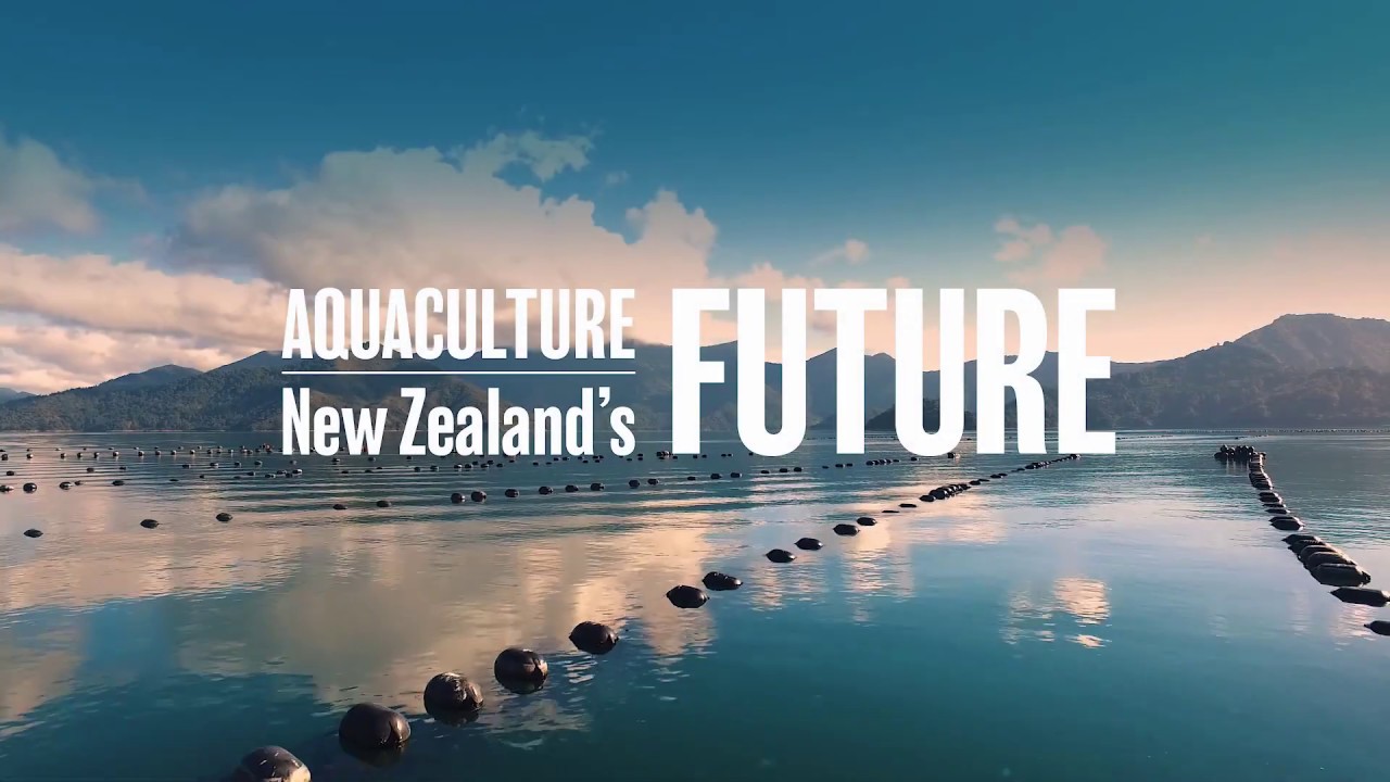 Aquaculture New Zealand's future. YouTube