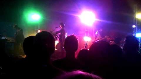 Colors In Array by Future of Forestry LIVE