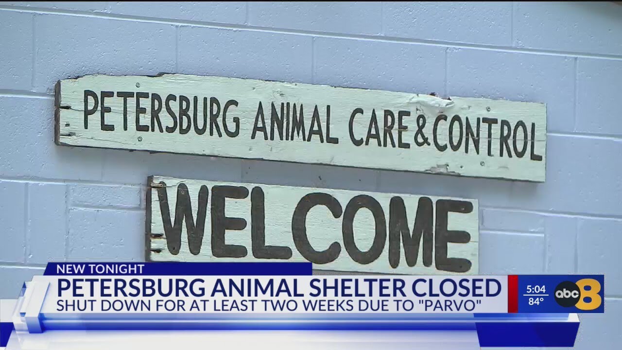 Petersburg Animal Shelter closed for at least the next 2 weeks due to parvo outbreak