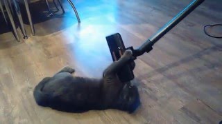 сеня пылесос screenshot 5