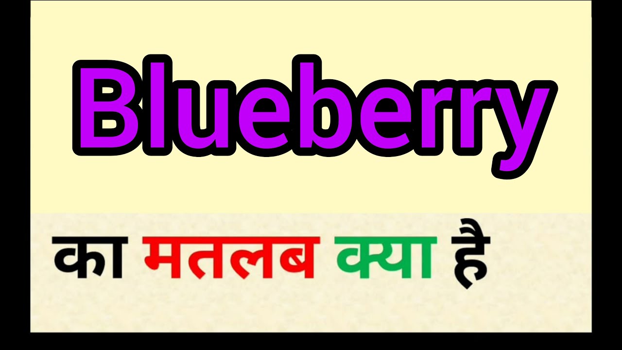 Blueberry meaning in hindi blueberry ka matlab kya hota hai word