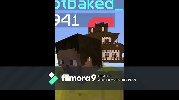 Minecraft Hypixel Skyblock Scam Report