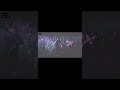 Oasis Up In The Sky King Tuts Wah Wah Hut 1993 RARE FOOTAGE 