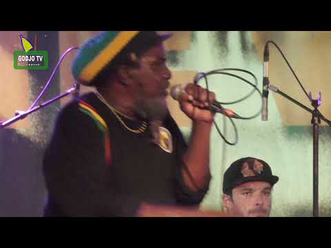 Pablo Moses  Dubbing is a must (live)
