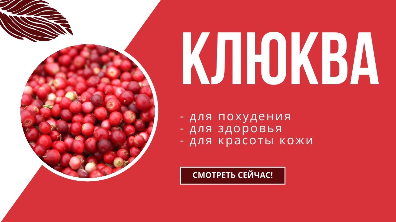 Клюква для - похудения, красоты и здоровья. Полезные свойства и применение.