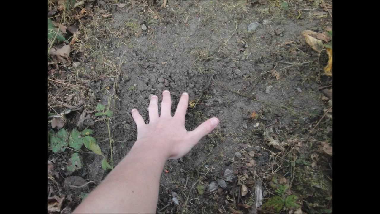 Erythritol Tetranitrate 0.5g Pumpkin