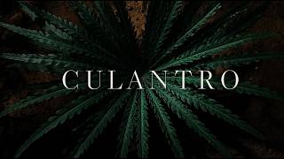 Culantro The Stronger Twin Of Cilantro You Never Learned About