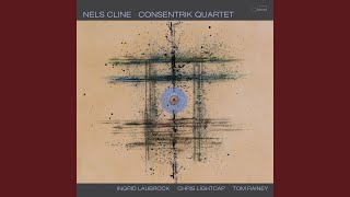 Slipping Into Something - Nels Cline