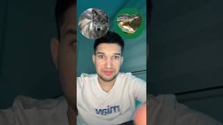 Teke tek’te hangi hayvanî döverim