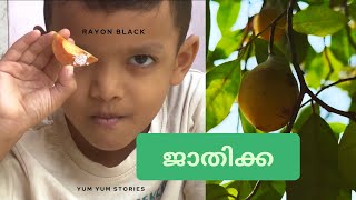 Yum Yum Stories-2 Tongues Toughest Challengenutmeg With Salt വര നമകക ജതകക കഴകക