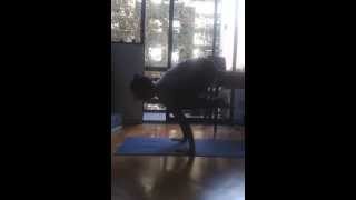 Cómo realizar Bakasana? AsanaTip del mes www.yogaconselva.com