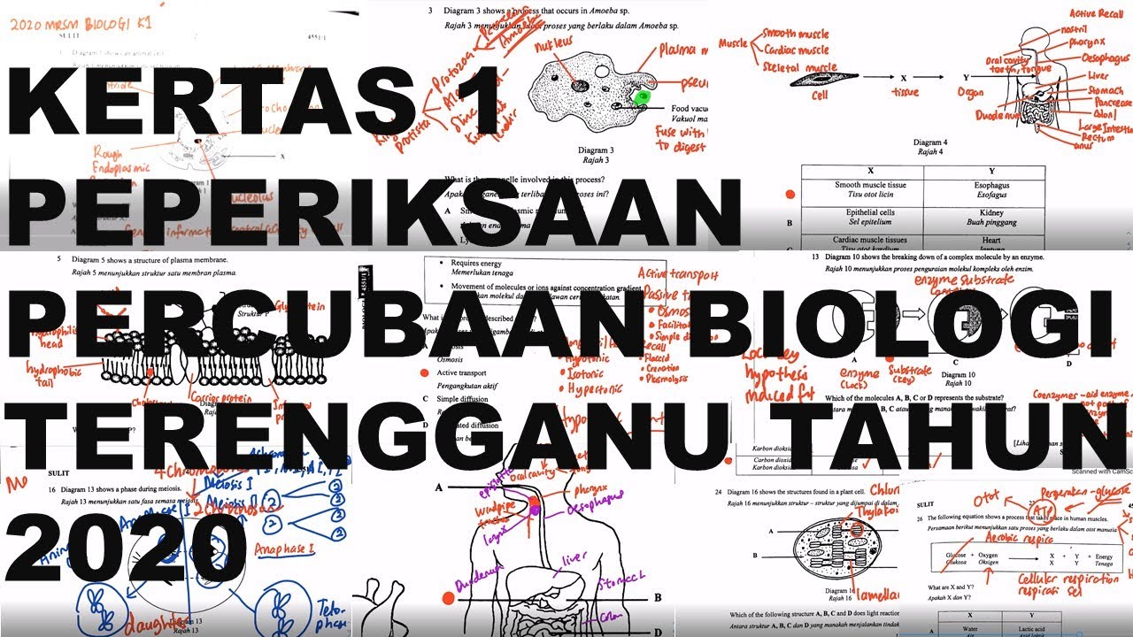 TRIAL TERENGGANU 2020 KERTAS 1 BIOLOGY/BIOLOGI