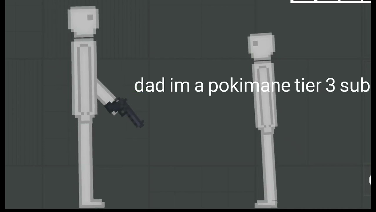 "Dad Im A Pokimane Tier 3 Sub"