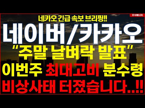 [카카오 네이버]💥"속보, 주말 날벼락 발표..!!" 이번주 최대고비 분수령..!! 비상사태 터졌습니다..!! 네카오 주주 필수시청!! 카카오 네이버 카카오페이