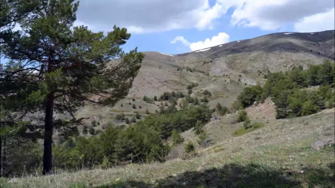 Erzincan Göyne Köyü