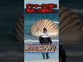 漁師が海岸で遭遇した驚愕生物…# #uma #未確認生物 #未確認生命体