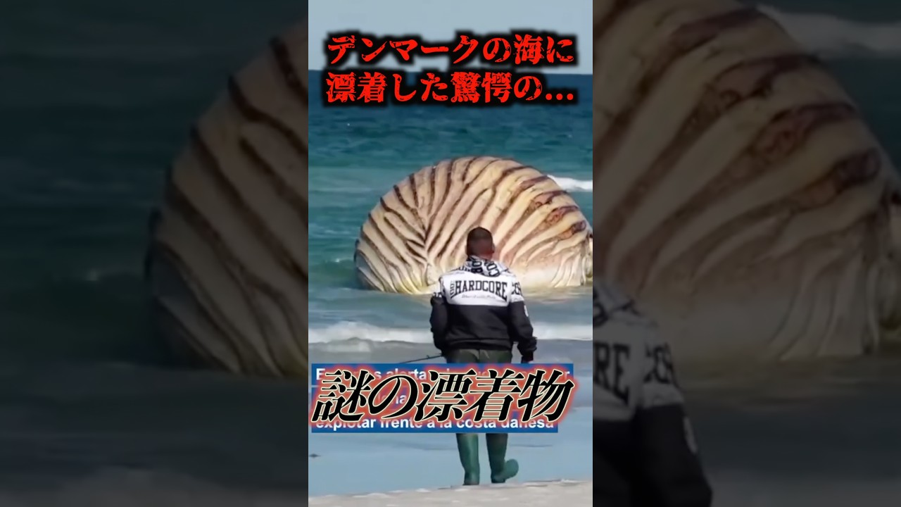 漁師が海岸で遭遇した驚愕生物…# #uma #未確認生物 #未確認生命体