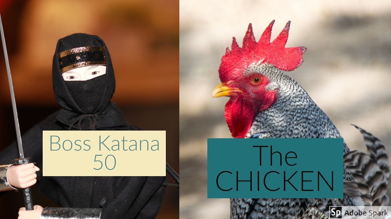 Boss Katana Touch Wah play through The Chicken (Jaco)