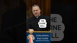 What is the Divine Will? #frchrisalar #divinemercy #divinewill #explainingthefaith