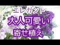 【寄せ植え】香水の花♪ヘリオトロープのエレガントな大人可愛いバスケット