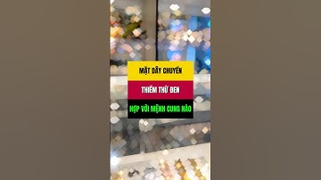 Mặt dây chuyền thiềm thừ đen, hợp với mệnh cung nào #thiemthu #tailoc phongthuy #dahacnga #obsidian