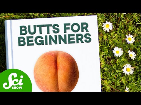 The User's Guide For Your Butt | SciShow Compilation thumbnail