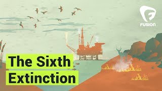 Climate Heroes: The Sixth Extinction