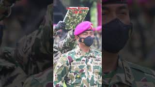 Jenis Jenis Baju Loreng TNI #shorts