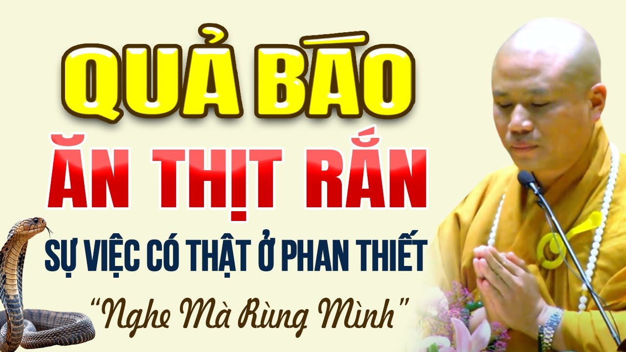 Quả Báo Ăn Thịt Rắn Câu Chuyện Có Thật Tại Phan Thiết (nghe mà rùng mình) - ĐĐ. Thích Giác Nhàn