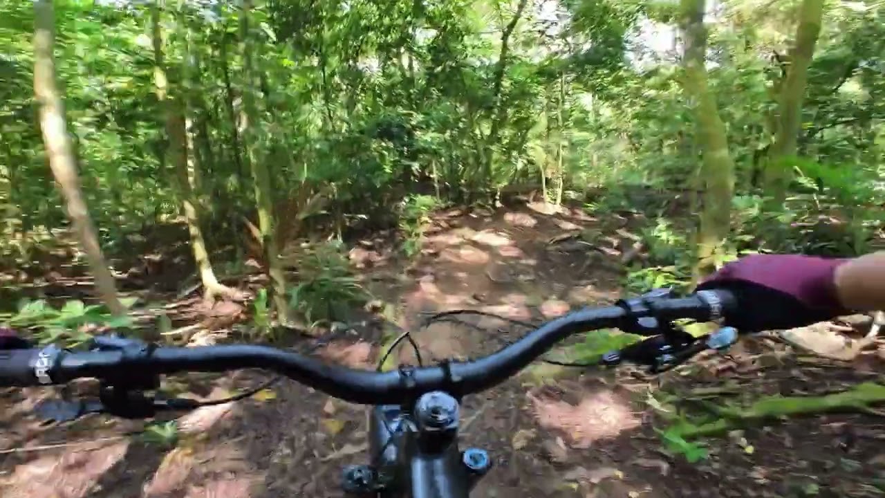 Windforce Solo | 20250215 | 