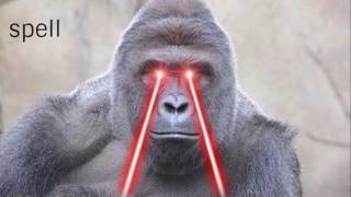 Hey Beter Harambe