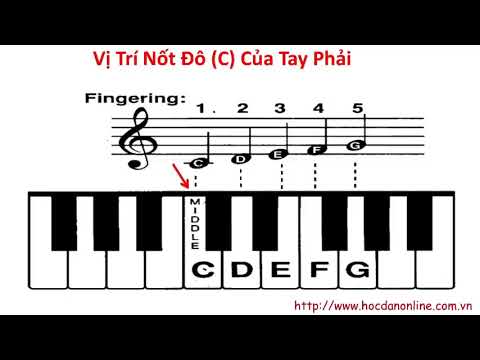 Tự Học Đàn Organ   Bài 1 - youtube