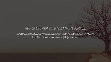 ماشاءالله تبارك الله اجمل اروع تلاوة خاشعة ومؤثرة جداً القارئ||ماهر المعيقلي