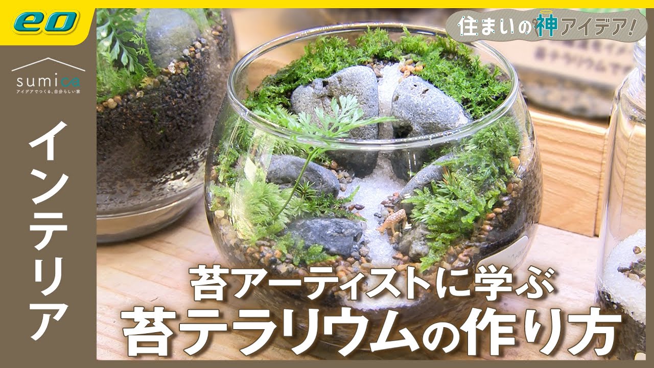 苔テラリウム】苔で作るミニチュアの世界【住まいの神アイデア
