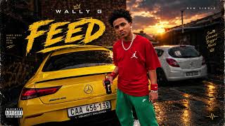 Information Wally g x FEED (Official Audio) Guide