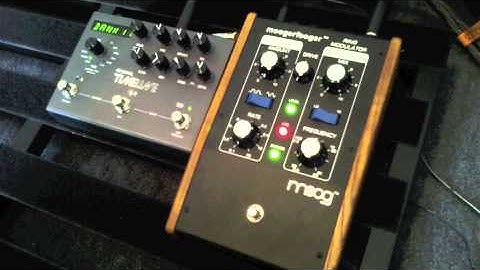MOOG - Ring Modulator MF-102 Moogerfooger and Strymon Timeline Delay
