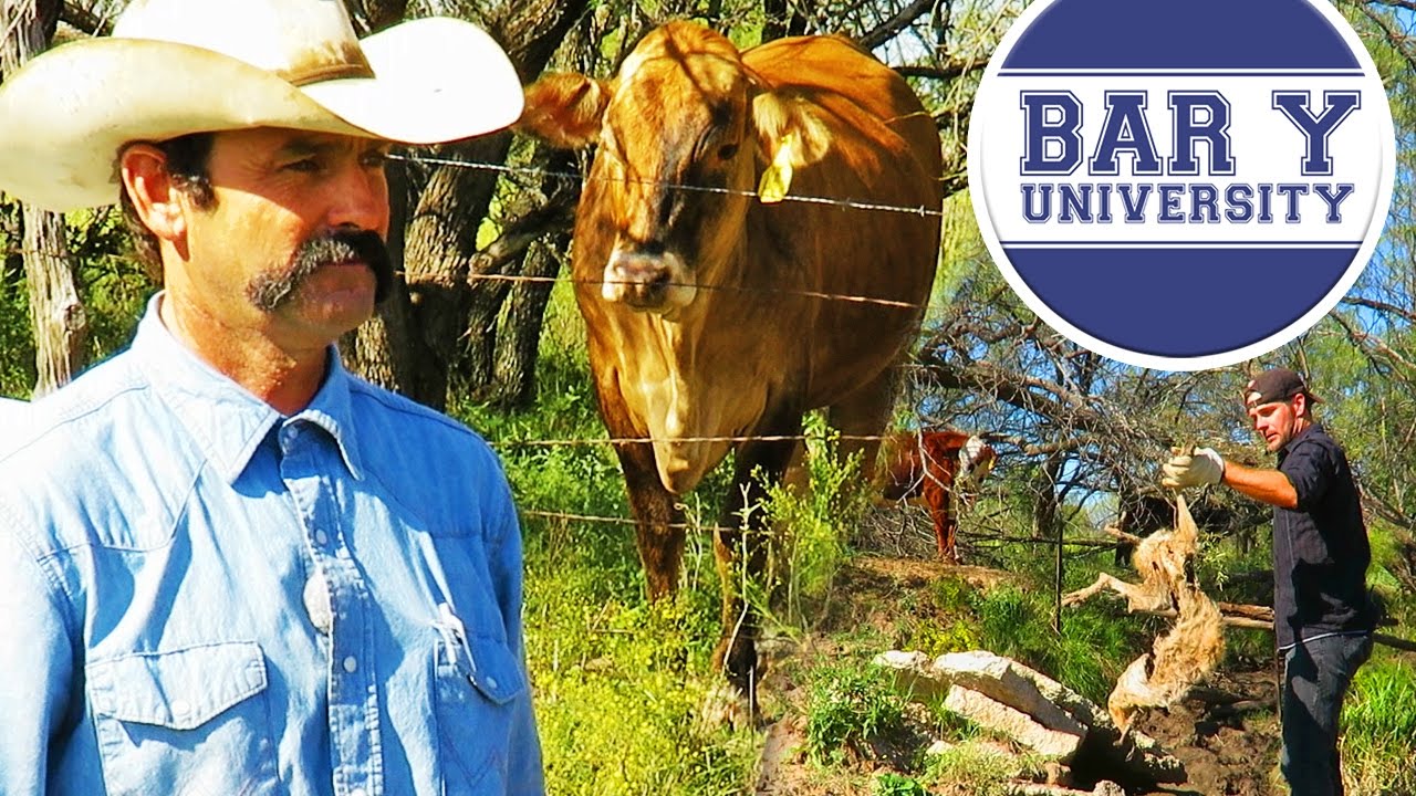 Water Gaps 101 YouTube