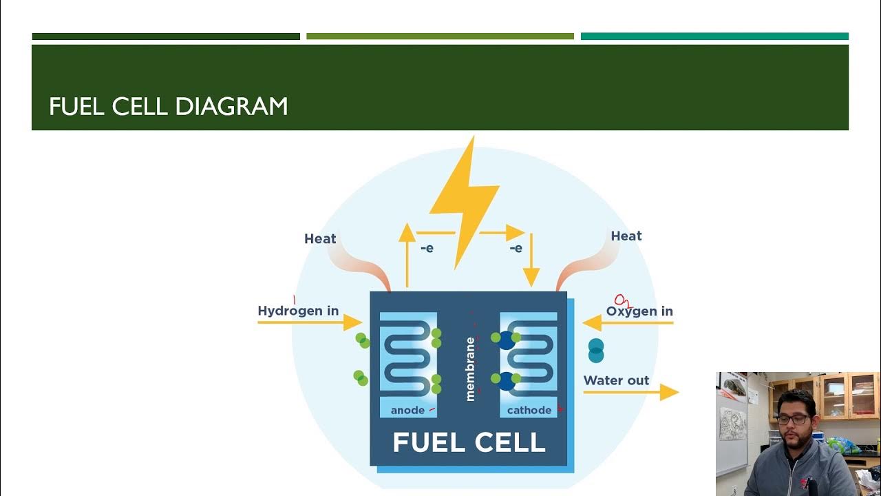 APES Topic 6.11, Hyrogen Fuel Cell YouTube