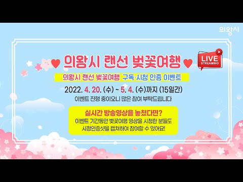🌸의왕시 랜선 벚꽃여행🌸