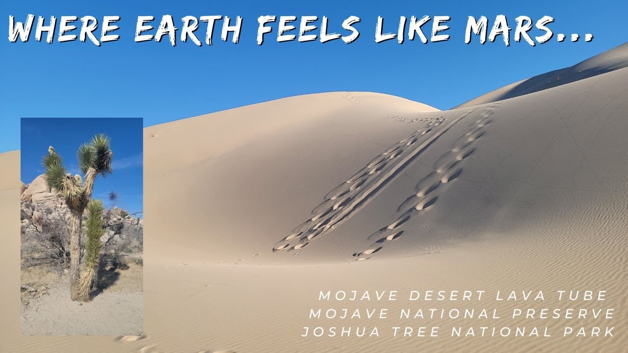 Desert Wonders: Lava Tubes, Kelso Dunes & Joshua Tree Adventures!