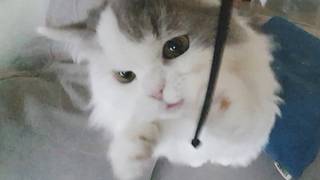 Bro stood up for himself