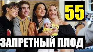 ЗАПРЕТНЫЙ ПЛОД 55 СЕРИЯ РУССКАЯ ОЗВУЧКА. Анонс и дата выхода