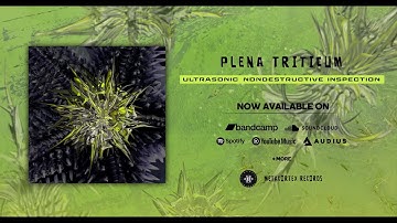 EP Ultrasonic Nondestructive Inspection 03- Plena Triticum -  Half Cycle (230 BPM) by Metacortex Rec