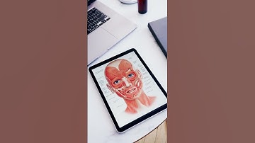 Niềng răng có gây đau đầu không? #niengrang #daudau #braces #invisalign #dentist #chinhnha #short