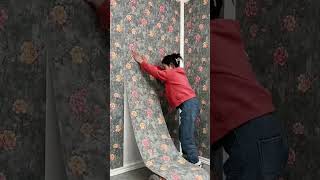 #Old Wall Renovation Tool #Interior design #wallpaper sheet water proof home maintenance #shortvideo