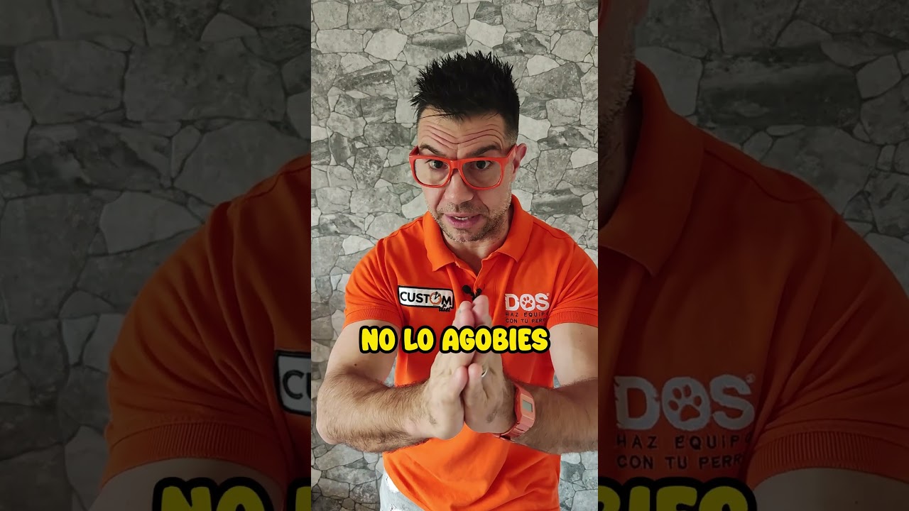 📢 NO HAGAS ESTO A TU PERRO ⚠️ | Adiestramiento Canino 🐶