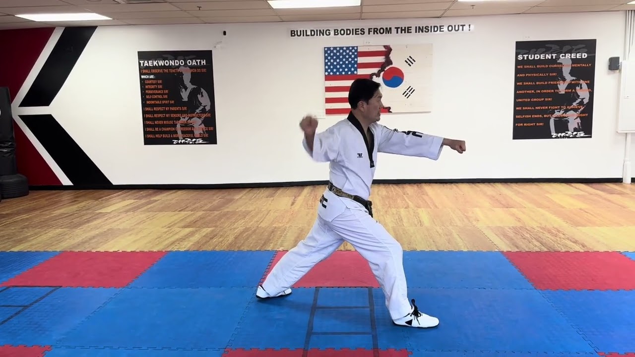 TAE GEUK 3 JANG(ADVANCED JANUARY/FEBRUARY  STUDY VIDEO)