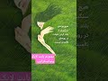 سعی کن به هر قیمتی ملکه باشی حتی اگر قلمرو ات به اندازه عرض شانه هایت باشد