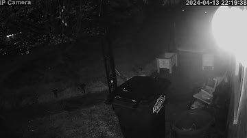 You can see the windows and screen warp. Was it a portal?