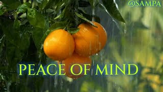 Relaxing music for stress relief ||🌸🌸relaxing music ||🎶Sleeping music for deep sleep ||😴Healing mind screenshot 2